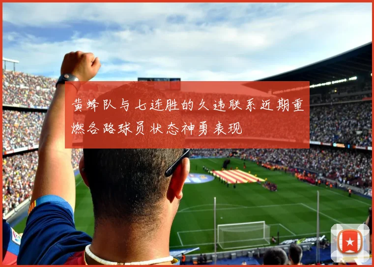 黄蜂队与七连胜的久违联系近期重燃各路球员状态神勇表现