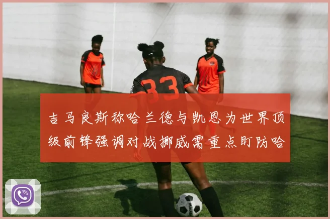 吉马良斯称哈兰德与凯恩为世界顶级前锋强调对战挪威需重点盯防哈兰德